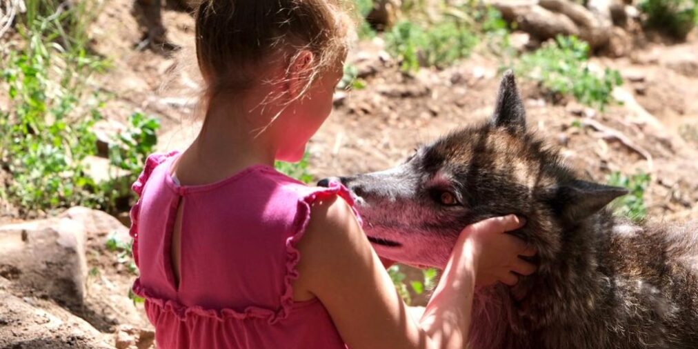 Clara listens to the Wolf