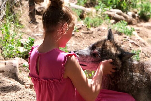 Clara listens to the Wolf