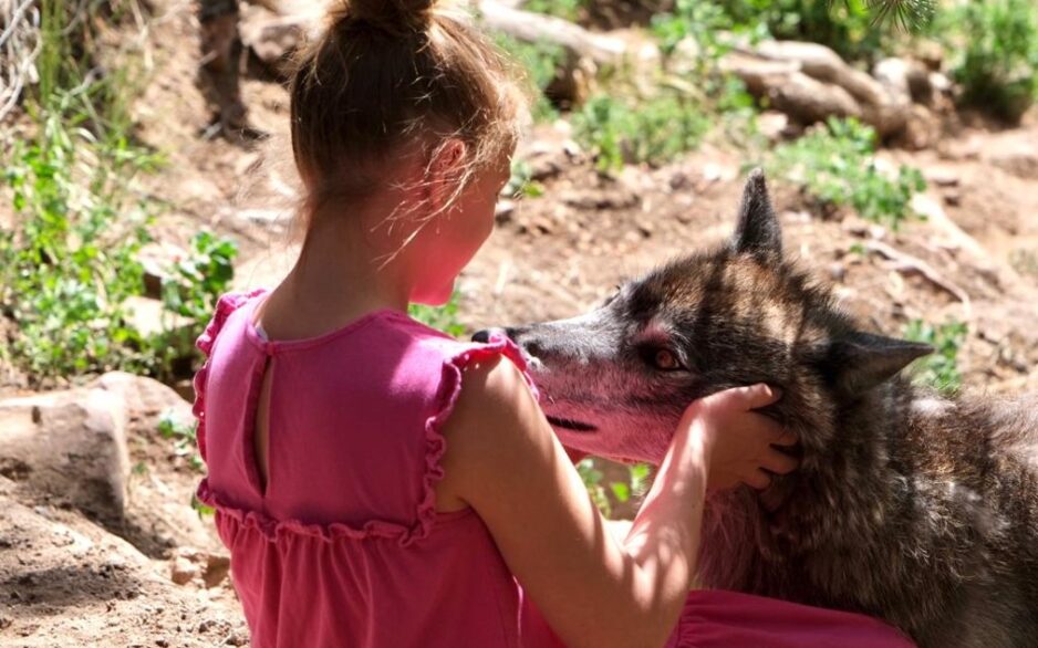 Clara and the Wolf Clara listens to the Wolf